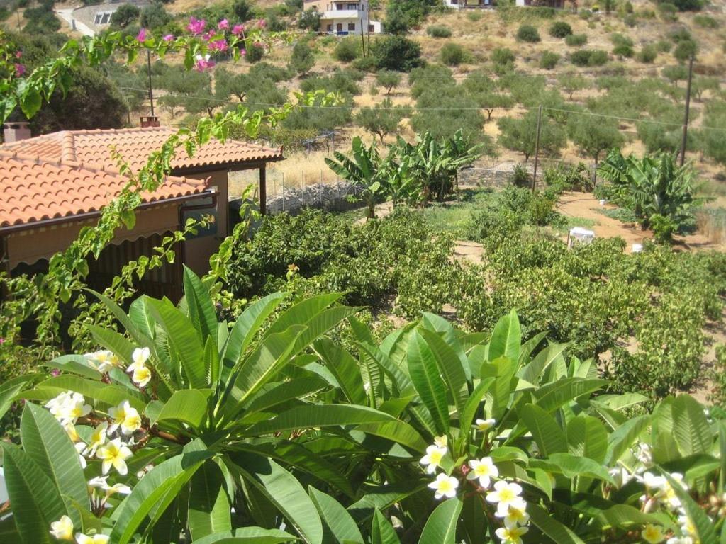 Mochlos Mare Bagian luar foto