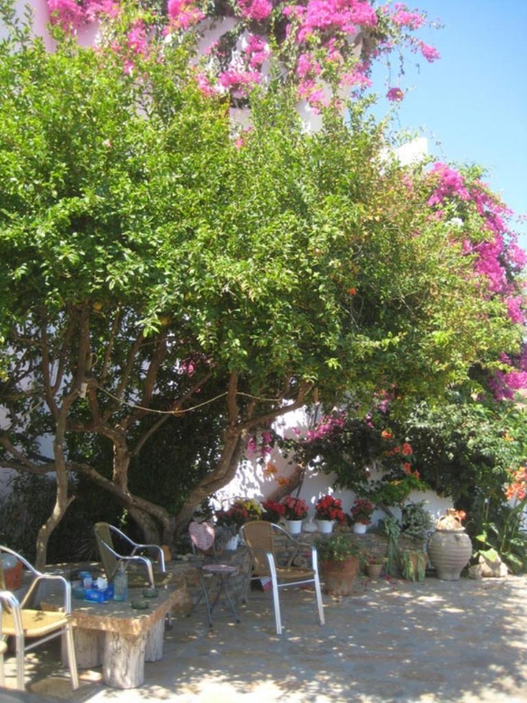 Mochlos Mare Bagian luar foto
